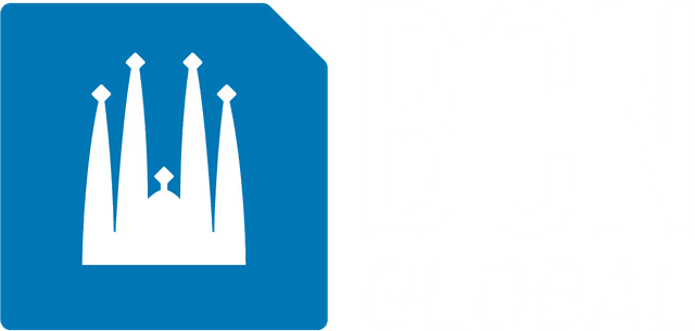 BCN Global Logo